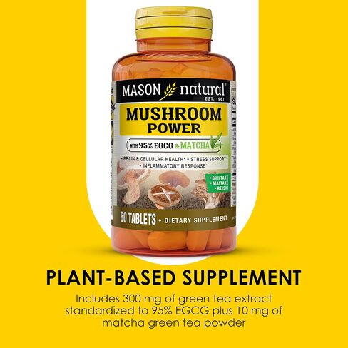 MASON NATURAL Mushroom Power with 95% EGCG & Matcha - for Optimal Wellness, Stress Support and Healthy Inflammatory Response, 60 Plant Based Tablets in Saudi Arabia