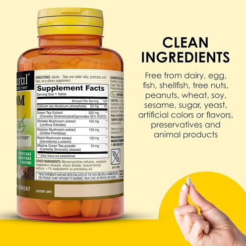 MASON NATURAL Mushroom Power with 95% EGCG & Matcha - for Optimal Wellness, Stress Support and Healthy Inflammatory Response, 60 Plant Based Tablets in Saudi Arabia