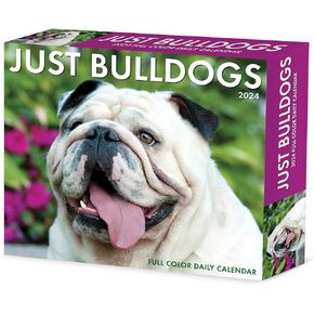Bulldogs Daily 2024 Box/Desk Calendar (5.86" x 4.72") in Saudi Arabia