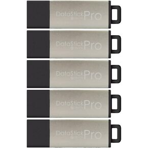Centon DataStick Pro USB 2.0 Flash Drive 16GB x 1, Silver (S1-U2P17-16G-B)