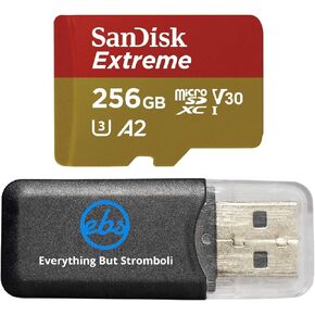 SanDisk Extreme V30 A2 256GB MicroSD Memory Card 4K SDXC Works with DJI Mavic Mini Drone Flycam Bundle with (1) Everything But Stromboli Micro Card Reader