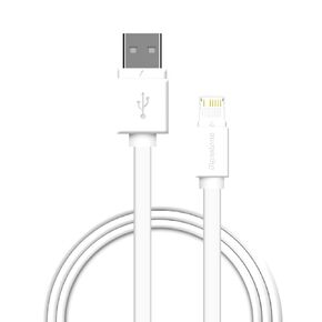 Gigastone 3ft Charging Cable for Lightning Devices, Fast Charge 12W 5V,2.4A Compatible with iPad, iPhone Xs/XR/XS Max/X/7/7Plus/8/8Plus/6S/6S Plus/5, Charging only, Data Sync not Supported - White