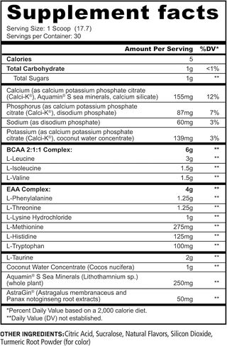 Panda Supps BCAA+EAA Intra-Wokout, Hydration, and Recovery Amino Supplement 2:1:1 Ratio (30 Servings) (Melon Crusher) in Saudi Arabia