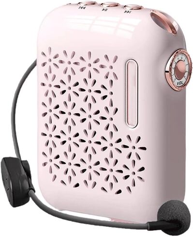 Amplifier Multifunctional Portable Voice Speaker Microphone Teacher Lecture in Saudi Arabia