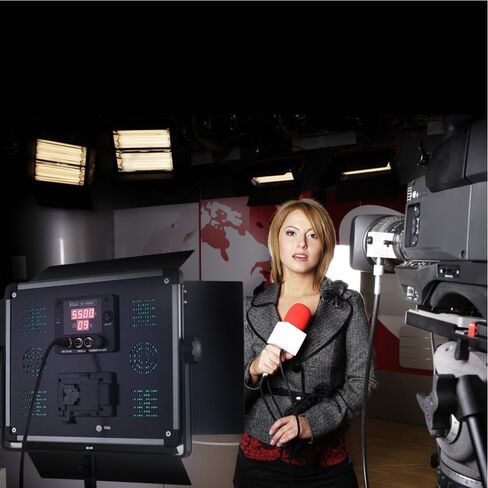 Dimmable Bi-color LED Video Light D-2000II Barndoors and Carrying Case for Studio Youtube Video Photography Lighting, Durable Metal Frame, 1724 LED Beads3200K-5500K, CRI 96+, DMX512 Compatible in Kuwait