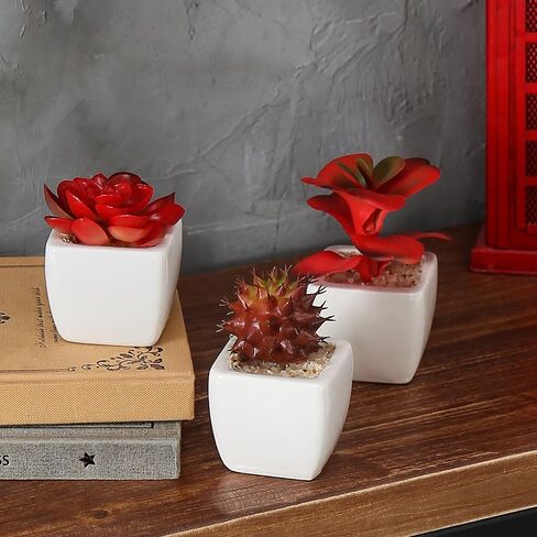 MyGift Mini Assorted Artificial Succulent, Indoor Fake House Plants in Geometric Ceramic Pots, Set of 6 in Saudi Arabia