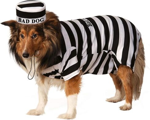 Rubie's Costume Prisoner Costume, 0, XL US in Saudi Arabia