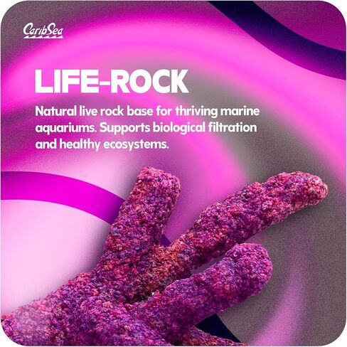 صخرة الحياة من كاريبسي، 20 باوند in Kuwait