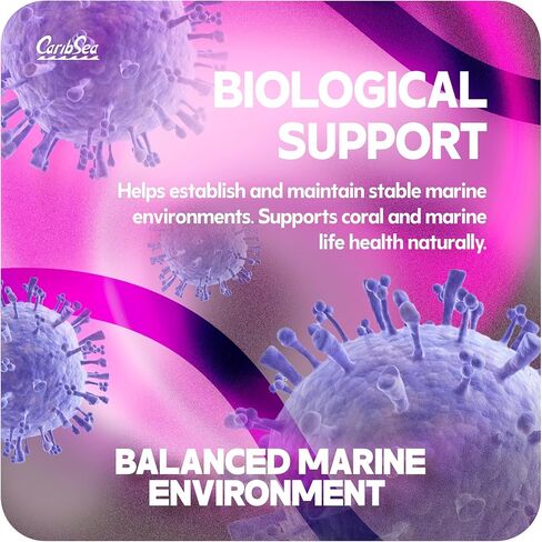 صخرة الحياة من كاريبسي، 20 باوند in Kuwait