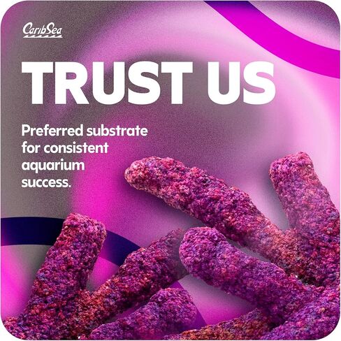 صخرة الحياة من كاريبسي، 20 باوند in Kuwait