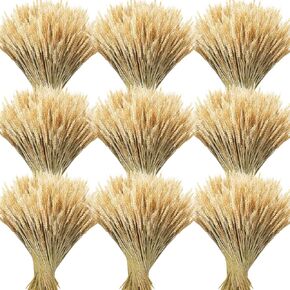 Geosar 600 Stems 16 Inch Dried Wheat Sheaves Natural Wheat Stalks Bundle Fall Arrangement Artificial Flowers Arrangement Farmhouse for DIY Wedding Table Party Home Centerpieces Decorative in Kuwait