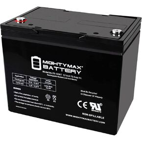 Mighty Max Battery 12V 75Ah Internal Thread Replacement Battery Compatible with The Basement WatchDog Model BW-27AGM