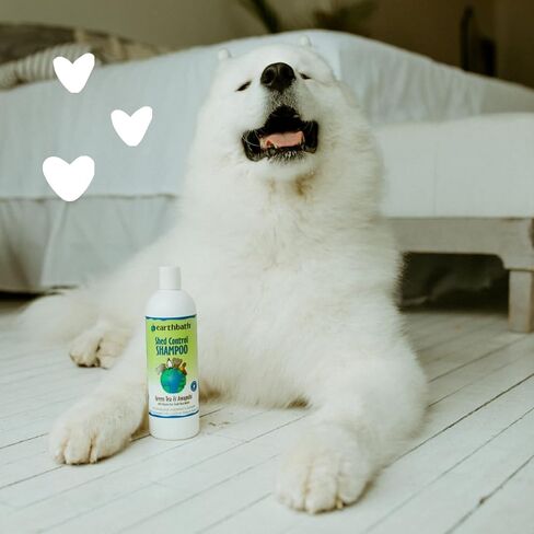 earthbath Shed Control Shampoo for Dogs & Cats, Green Tea & Awapuhi with Organic Fair Trade Shea Butter, 128oz – Relieves Shedding & Dander – Made in USA in Kuwait