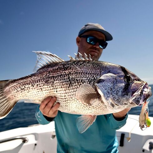 Snap Bait Frothy Okky Fishing Lures & Jigs for Freshwater and Saltwater Fish. Forged Carbon Hooks. Replicates The Swimming Action of a Small Octopus. Frothy Okky. in Kuwait