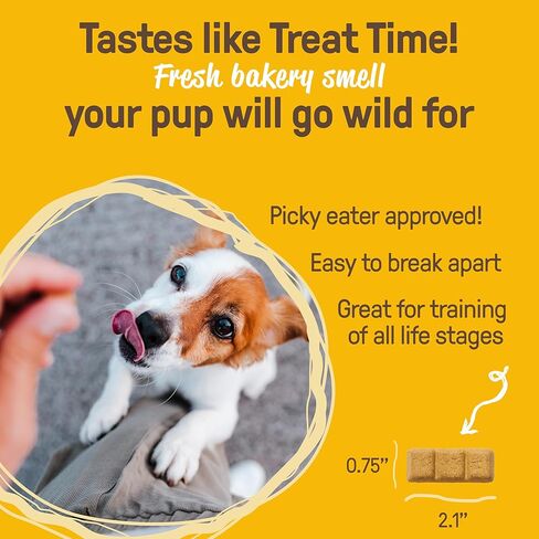 كوكي بال، حلوى الشيا واليقطين العضوية للكلاب، 10 أونصة in Kuwait