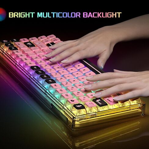 Blue Light Up Transparent Mechanical Keyboard,Light84 RGB Backlight Gaming Wired Keyboards with Crystal Switch and Sublimation PBT Capkeys,70% Percent E-Sports for Windows PC MAC (California Holiday) in Kuwait