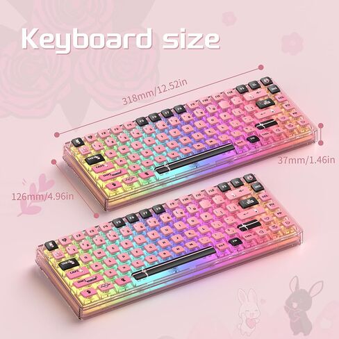 Blue Light Up Transparent Mechanical Keyboard,Light84 RGB Backlight Gaming Wired Keyboards with Crystal Switch and Sublimation PBT Capkeys,70% Percent E-Sports for Windows PC MAC (California Holiday) in Kuwait