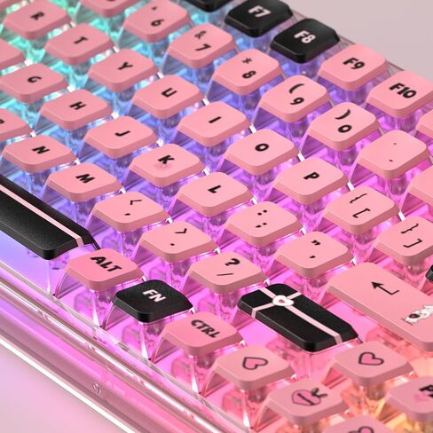 Blue Light Up Transparent Mechanical Keyboard,Light84 RGB Backlight Gaming Wired Keyboards with Crystal Switch and Sublimation PBT Capkeys,70% Percent E-Sports for Windows PC MAC (California Holiday) in Kuwait