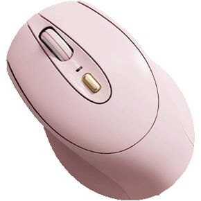 Computer Mouse Wireless Mouse, 2.4G Portable Computer Mice for PC, Laptop, Windows,Office Included Wireless USB dongle Wireless mice