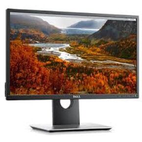 DELL P2217 22-inch PROFESSIONAL WIDE SCREEN 1680X1050 LED LCD DISPLAY MONITOR 0FDPN (Renewed)