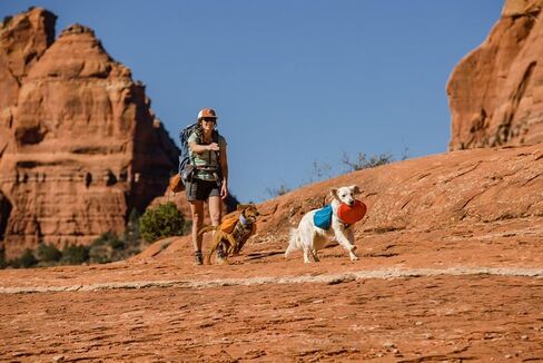 Ruffwear، لعبة Camp Flyer للكلاب، قرص خفيف الوزن ومرن للرمي والجلب، سماق أحمر in Kuwait