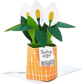 Hallmark Paper Wonder Mother's Day Pop Up Card (Sunflower Bouquet) Thinking of You, All Occasion