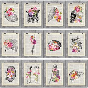 12 Pieces Medical Dictionary Art Set 8 x 10 Inch Anatomy Decor Vintage Anatomical Posters Vintage Floral Human Wall Decor for Doctor Office Clinic School Classroom Gift for Nurses Med Student