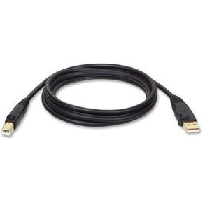 U022-010 كابلات Tripp-lite كابل USB 10 أقدام