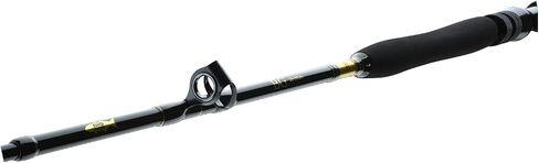 Daiwa BG Big Game ، 1.68m ، 5.50 ft ، 3 أجزاء ، حركة تدريجية ، قضيب صيد مياه المالك الكبيرة in Kuwait