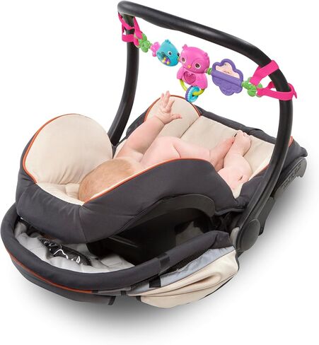 برايت ستارتس لعبة عربة اطفال فليكس اند جو اكتيفيتي ارك تيك الونج خالية من البيسفينول ايه من اوبول، مناسبة لحديثي الولادة فما فوق in Kuwait