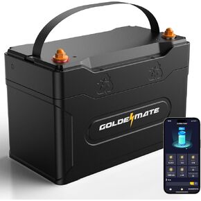 12V 100Ah Group 31 Bluetooth LiFePO4 Battery, IP67 Waterproof Lithium Battery, 5000+ Deep Cycles, Built-in 100A BMS, Perfect for RV, Solar System, Marine, Trolling Motor, Off-grid Setups