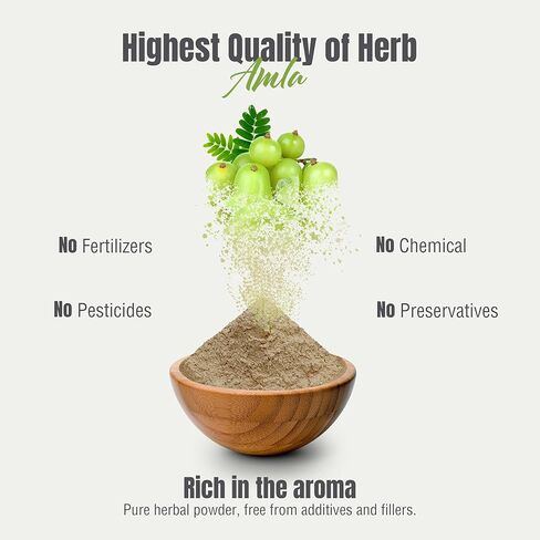 Herbsforever Amla Powder – Phyllanthus emblica – Supports Immune System – Non GMO, Organic, Vegan – 230 GMS in Kuwait