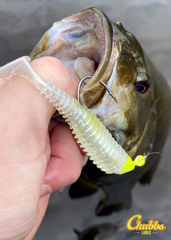 Pre-Rigged 3-4 inch Swimbait Kit | 6 Different Packs | 18-24 Total Fishing Lures in Kuwait