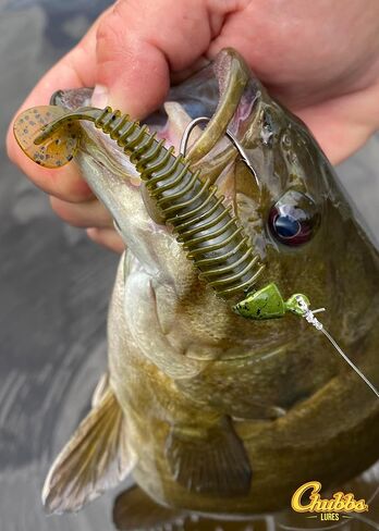 Pre-Rigged 3-4 inch Swimbait Kit | 6 Different Packs | 18-24 Total Fishing Lures in Kuwait