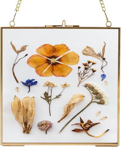 إطارات زهور مربعة مضغوطة عالية الجودة، إطار ذهبي عائم معلق مع سلسلة للضغط على صورة عمل فني لعينة النبات، ديكور حائط DIY (6.3 × 6.3 بوصة) in Kuwait