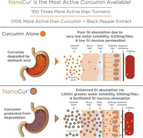 Nanocur Turmeric Curcumin - 100x More Active Than Turmeric, 170% More Active Than Curcumin + Black Pepper Extract. Joint Support, Relief, and Energy You’ll Feel. Organic Curcumin/Plant-Based Carrier. in Saudi Arabia