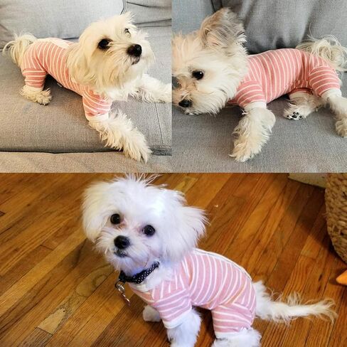 TONY HOBY Female/Male Pet Dog Pajamas Stripes 4 Legged Dog pjs Jumpsuit Soft Cotton Dog Clothes (L, Pink+White-Girls) in Kuwait