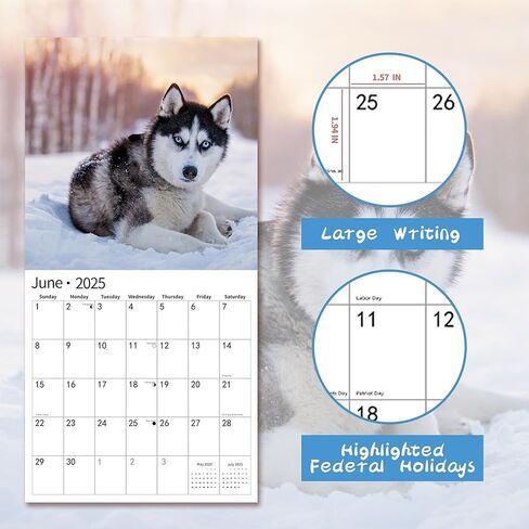 2024 2025 Wall Calendar, 18 Months July 2024 - December 2025, Wall Calendar Wolves, 12" x 24" Opened,Full Page Months Thick & Sturdy Paper for Gift Kids Teen Calendar Organizing & Planning in Kuwait