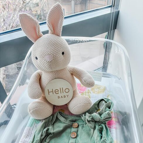 Monthly Baby Milestone Knit Cotton Stuffie with Wooden Discs, Newborn Photography Prop, Announcement Sign by Sawyer & Eloise (Bunny) in Saudi Arabia