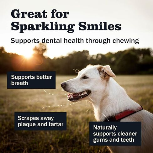 Redbarn Chew-A-Bulls (Size: Large, Shape: Hydrant, 6-Count (Pack of 1)) in Kuwait