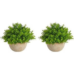 Nearly Natural 5in. Boxwood Artificial Plant in Decorative Planter