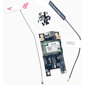RAK WisBlock Basic Starter Kit, LoRa RAK4631 nRF52840 BLE SX1262 915MHz Module, Antennas, USB Cable