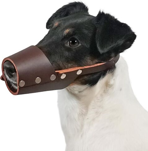 Large Leather Muzzle in Saudi Arabia