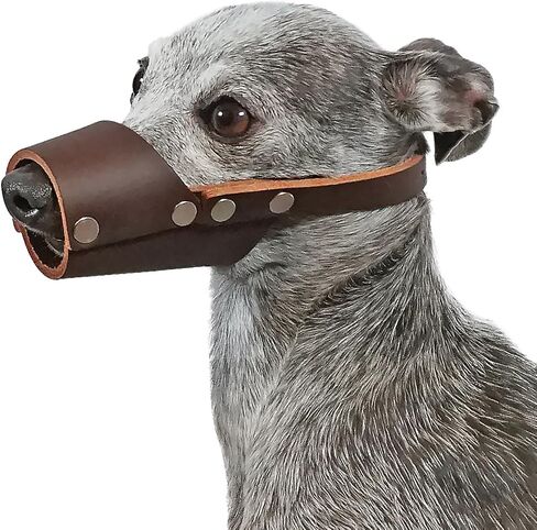 Large Leather Muzzle in Saudi Arabia