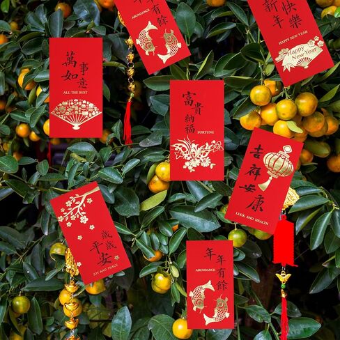 Supla 120 قطعة 6 تصميم مظاريف هونغ باو الحمراء الصينية، مظاريف نقود محظوظة، حزمة حمراء لاي انظر حزمة محظوظة، مغلف نقدي، جيوب حمراء للعام الصيني الجديد، عيد ميلاد الزفاف، عام التنين 2024 in Kuwait