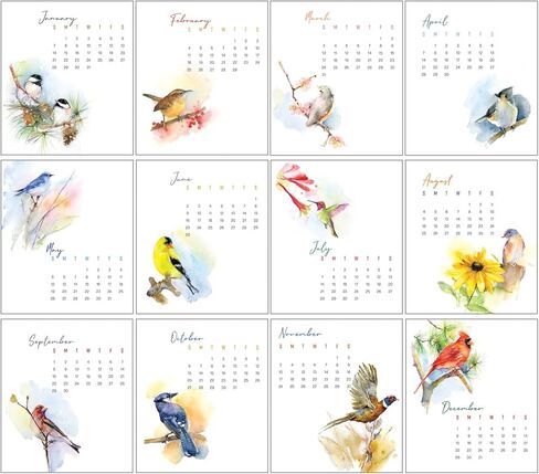 تقويم هدايا مكتبي لحافظة الأقراص المضغوطة لعام 2024 - أجنحة بألوان مائية in Kuwait