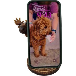 De Leon Collections Decorative Cell Phone Holder Stand Accessory, 5 Inch Polyresin, Peeking Moose