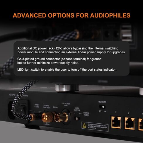 Silent Angel Bonn N8 Pro Audiophile Network Switch, Gold-Plated 8-Port Gigabit, Isolated Audio Network, Precision TCXO Clock Transmission, Dual Power Inputs. in Saudi Arabia