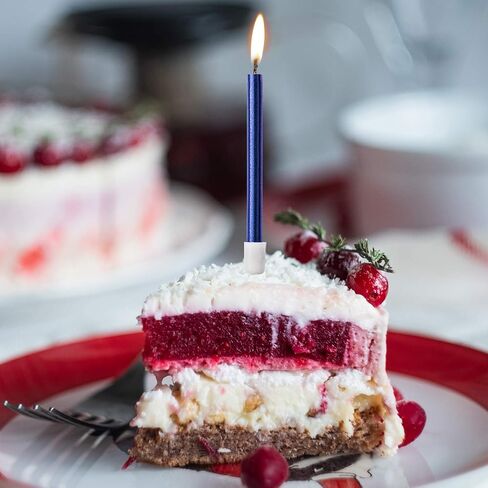 LUTER Metallic Birthday Candles in Holders Tall Birthday Cake Candles Long Thin Cupcake Candles for Birthday Wedding Party Decoration(24 Pieces) (Silver) in Kuwait