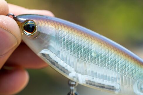 Berkley Choppo Topwater Fishing Lure, Assorted 3 Pack, 1/2 oz, 90mm Topwater, Enhanced Propeller Surface Area for Maximum Disturbance, Equipped with Sharp Fusion19 Hook in Kuwait